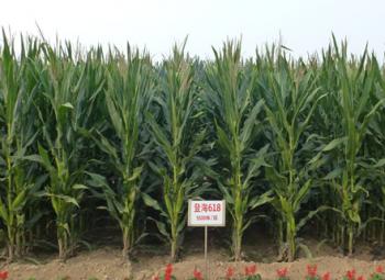 thumb_350_255_20160113035651313