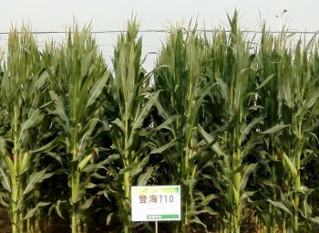 thumb_350_255_20200304103318769