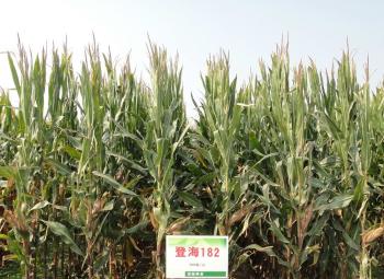 thumb_350_255_20200304103934527